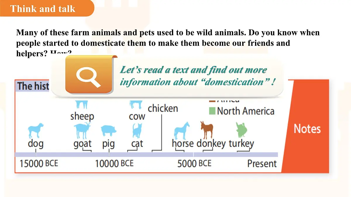 Unit 4Our animal friends Section 4课件 英语沪教版(2024)七年级下册第5页