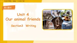 Unit 4 Our animal friends  Section3 Writing课件 英语沪教版（2024）七年级下册