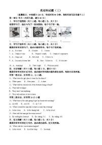 海南省省直辖县级行政单位临高县2023-2024学年九年级下学期期中考试英语试题