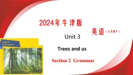 Unit 3 第3课时 Section 2 Grammar 2025学年七年级英语下册（沪教版2024）课件