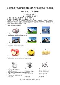 江苏省扬州市梅岭中学2024-2025学年八年级下英语期中试卷