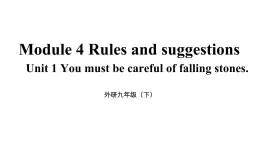 《Module 4 Rules and suggestions Unit 1 You must be careful of falling stones.》課件  2024年外研版英語(yǔ)九年級(jí)下冊(cè)