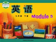 《Module 5 Unit 3 Language in use》課件 外研版英語(yǔ)九年級(jí)下冊(cè)