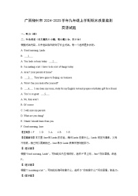 广西柳州市2024-2025学年九年级上学期期末质量监测英语试卷（解析版）