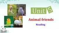 初中牛津译林版(2024)Module 2 A wonderful worldUnit 5 Animal friends完美版课件ppt
