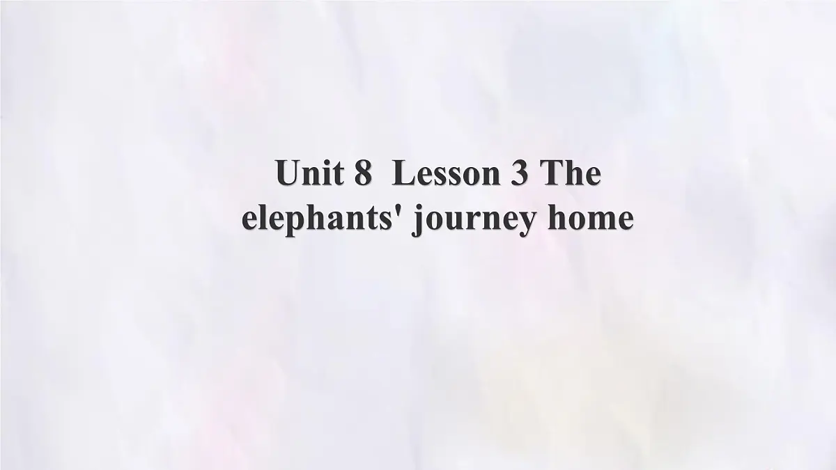 Unit 8 Lesson 3 The elephants' journey home 课件 英语冀教版(2024)七年级下册第1页
