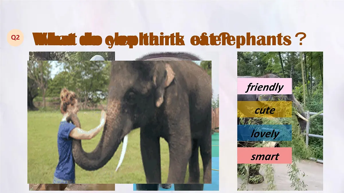 Unit 8 Lesson 3 The elephants' journey home 课件 英语冀教版(2024)七年级下册第3页