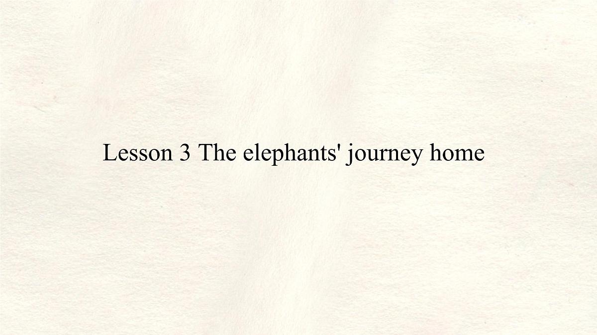 Unit 8 Lesson 3 The elephants' journey home课件 英语冀教版(2024)七年级下册第1页