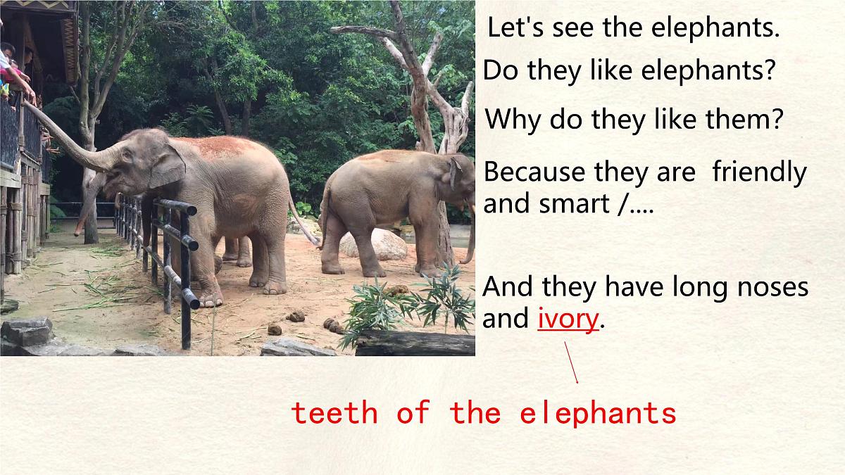 Unit 8 Lesson 3 The elephants' journey home课件 英语冀教版(2024)七年级下册第5页