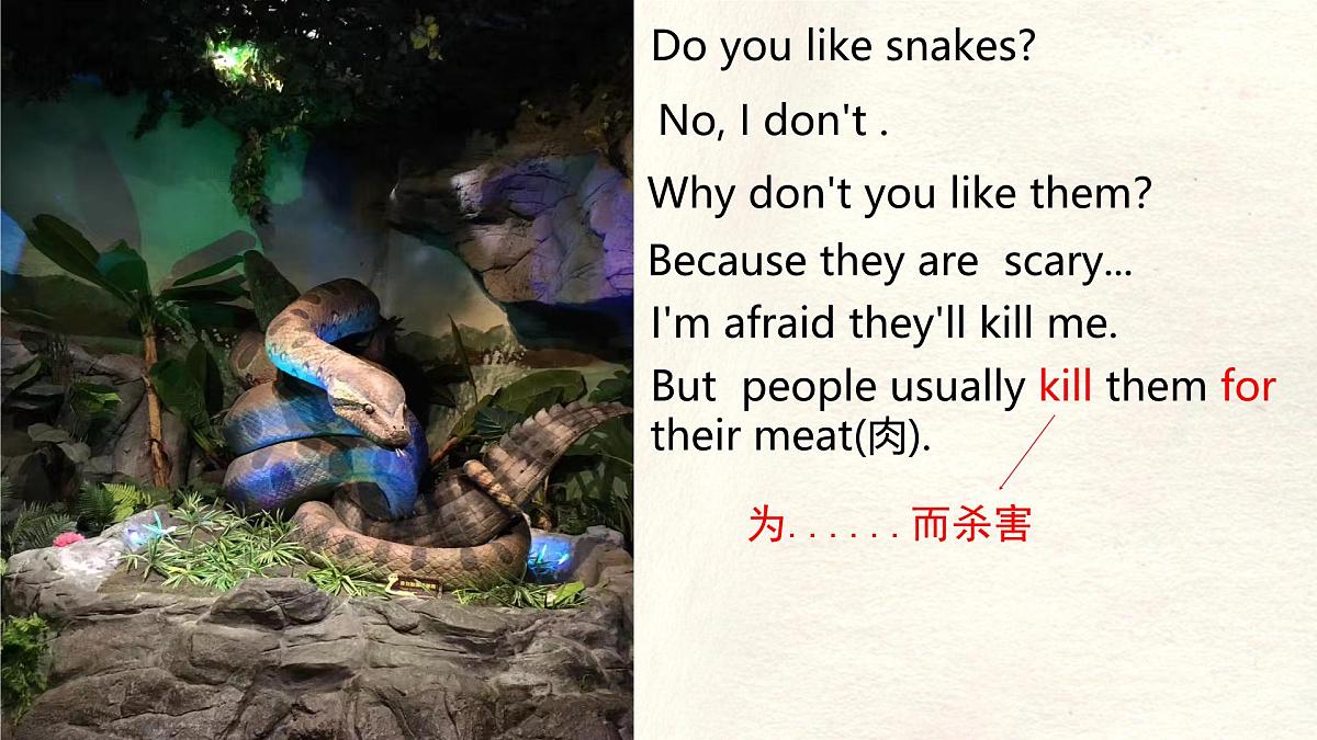 Unit 8 Lesson 3 The elephants' journey home课件 英语冀教版(2024)七年级下册第6页