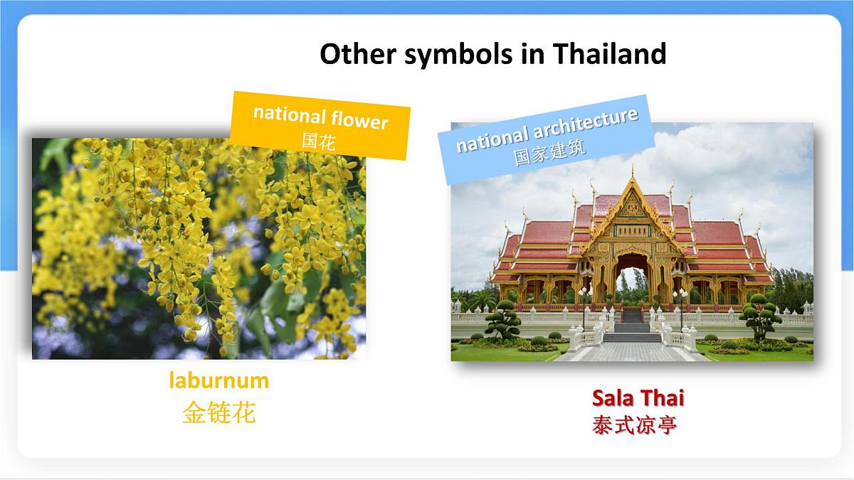 Unit 8 Lesson 3 The elephants' journey home课件 英语冀教版(2024)七年级下册第8页