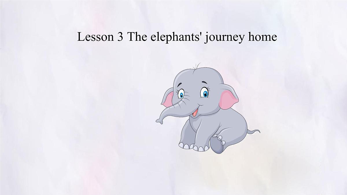 Unit 8 Lesson 3 The elephants' journey home课件 英语冀教版(2024)七年级下册第1页