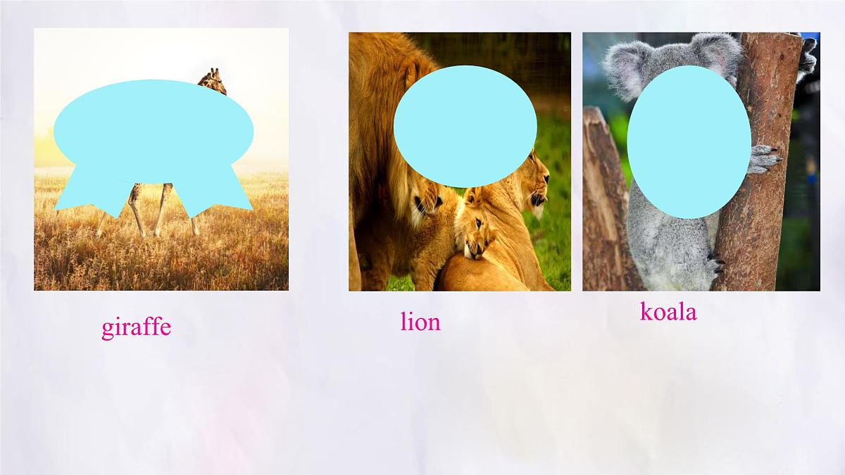 Unit 8 Lesson 3 The elephants' journey home课件 英语冀教版(2024)七年级下册第3页