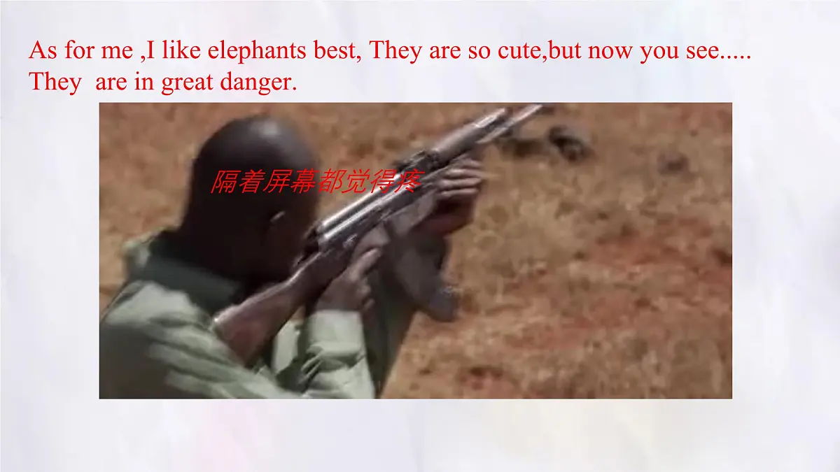Unit 8 Lesson 3 The elephants' journey home课件 英语冀教版(2024)七年级下册第5页