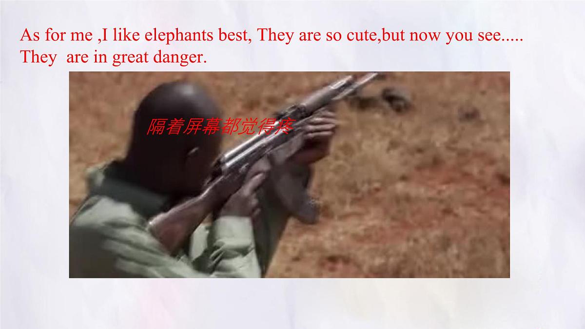 Unit 8 Lesson 3 The elephants' journey home课件 英语冀教版(2024)七年级下册第5页