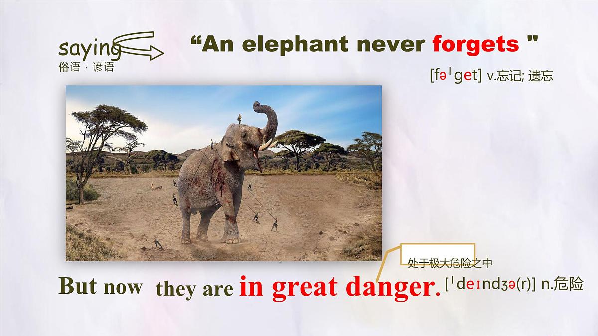 Unit 8 Lesson 3 The elephants' journey home课件 英语冀教版(2024)七年级下册第8页