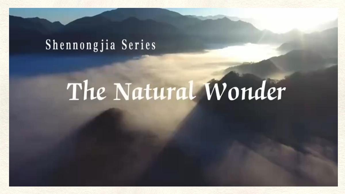 Unit 8 Lesson 5 A national park课件 英语冀教版(2024)七年级下册第3页