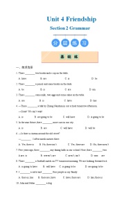 沪教牛津版（2024）Section 2 Exploring and applying rules (Grammar)优秀综合训练题
