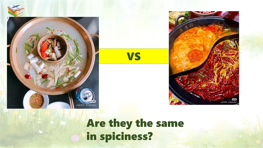 Unit6 第2课时Grammar(课件)2025学年七年级英语下册外研版第7页