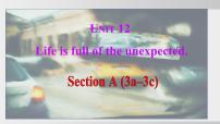 人教版（2024）九年级全册Unit 3 Could you please tell me where the restrooms are? Section A评课课件ppt