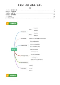 2025年中考英语专项复习讲义专题13 名词(清单+专练)(解析版)