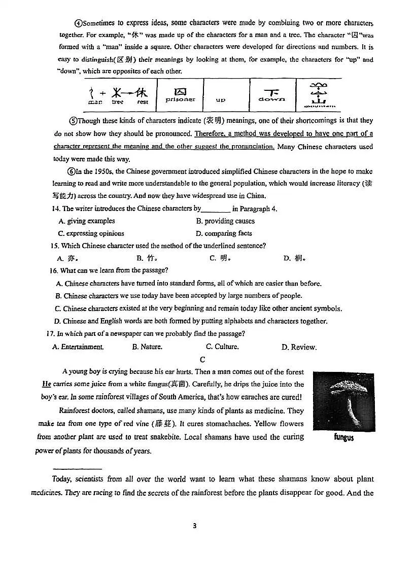 江苏省苏州工业园区星汇学校2025年中考英语二模试卷(中考模拟)第3页