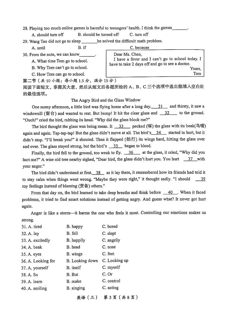2025年海南省省直辖县级行政单位乐东黎族自治县民族中学中考三模英语试题(中考模拟)第3页