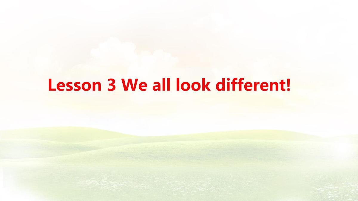 冀教版英语(2024) 七年级上册 Unit 3 Lesson 3 We all look different! 知识梳理课件 英语第1页