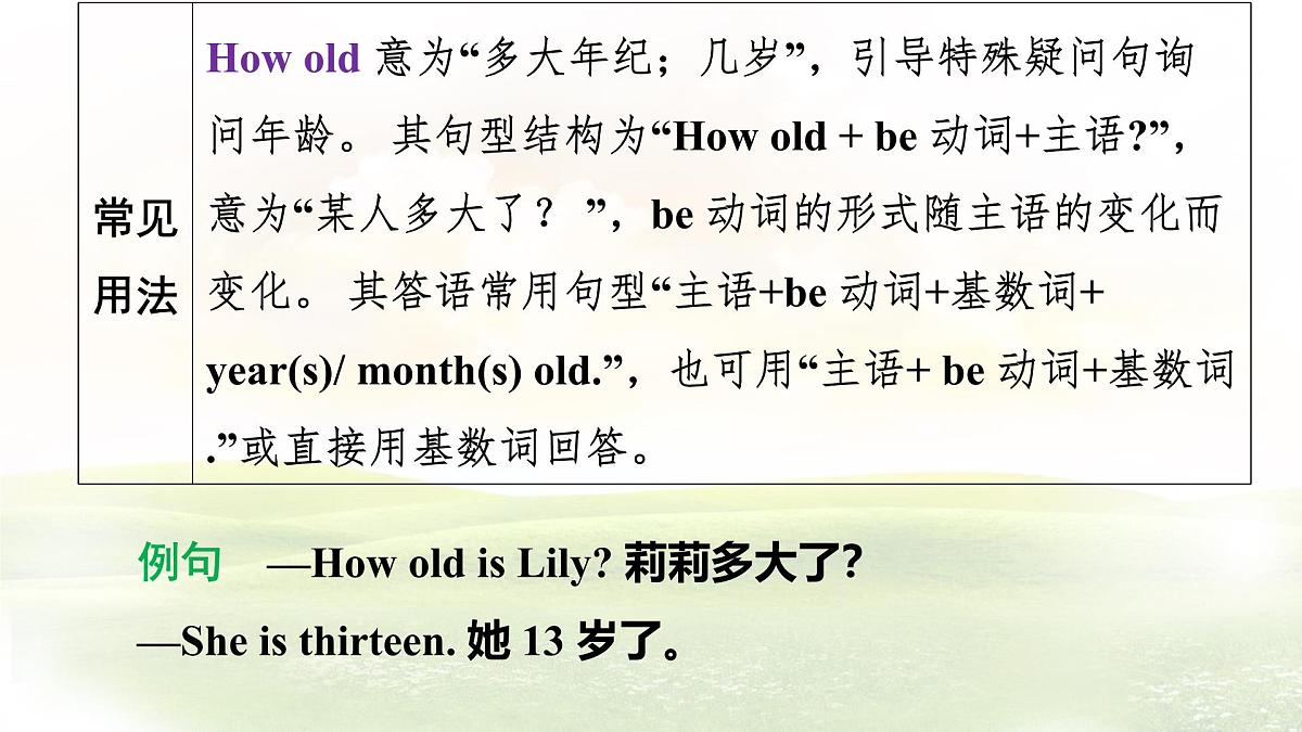 冀教版英语(2024) 七年级上册 Unit 3 Lesson 3 We all look different! 知识梳理课件 英语第5页