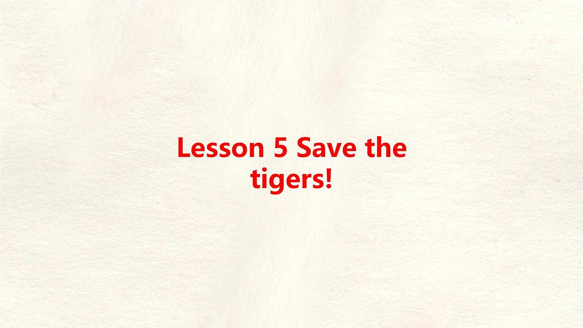 冀教版英语(2024) 七年级上册 Unit 5 Lesson 5 Save the tigers! 知识梳理课件 英语第1页