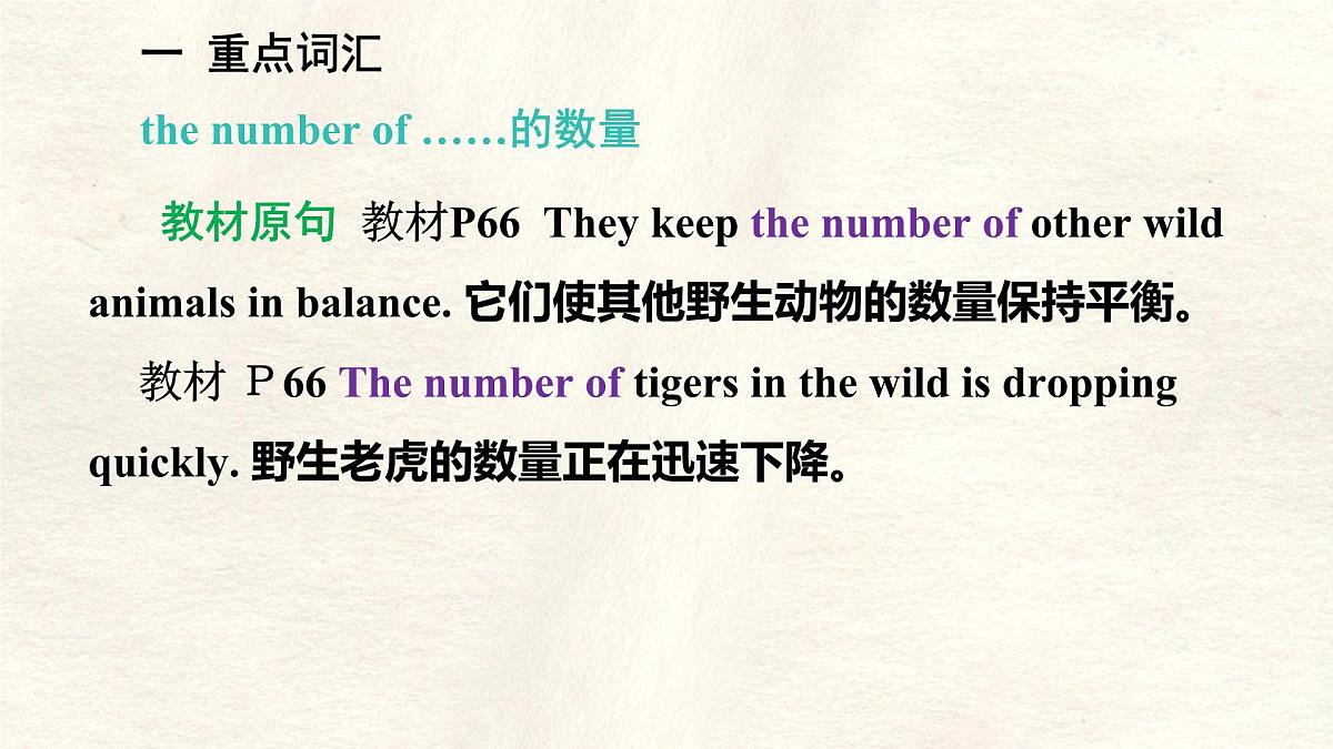 冀教版英语(2024) 七年级上册 Unit 5 Lesson 5 Save the tigers! 知识梳理课件 英语第3页