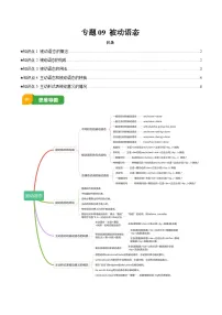 专题09 被动语态-2025年中考英语三轮冲刺复习试题(含答案)