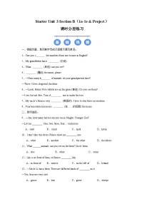 初中英语人教版（2024）七年级上册（2024）Unit 3 Welcome! Section B精品当堂检测题