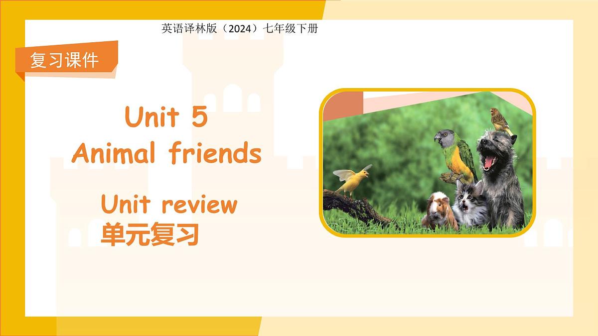 Unit 5 Animal friends 单元复习 课件 英语译林版(2024)七年级下册第1页