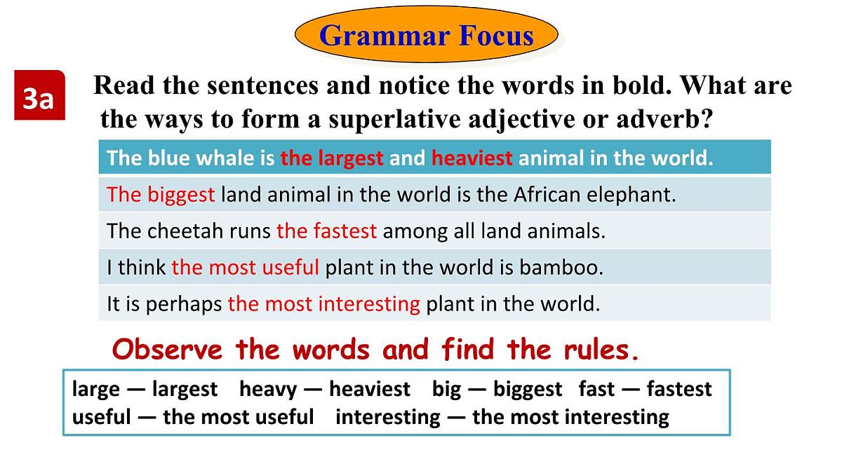 人教版(2024)英语八年级上册 Unit 4 Amazing Animals and Plants 第3课时 Section A Grammar Focus—3c(课件)第3页
