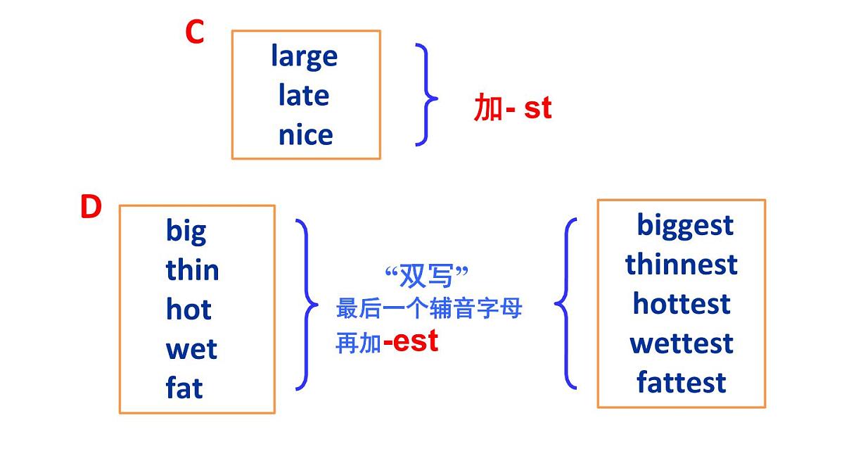 人教版(2024)英语八年级上册 Unit 4 Amazing Animals and Plants 第3课时 Section A Grammar Focus—3c(课件)第5页