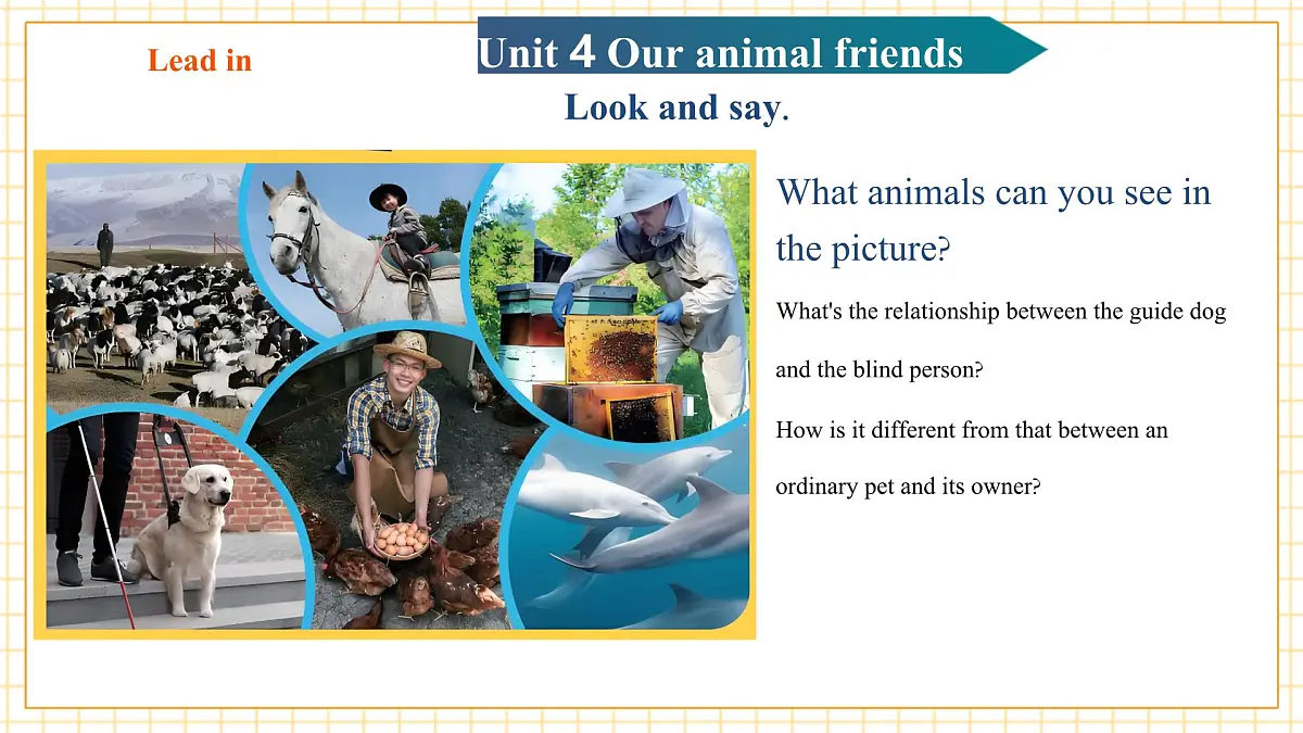 Unit4 Our animal friends 第1课时Reading教学课件第4页