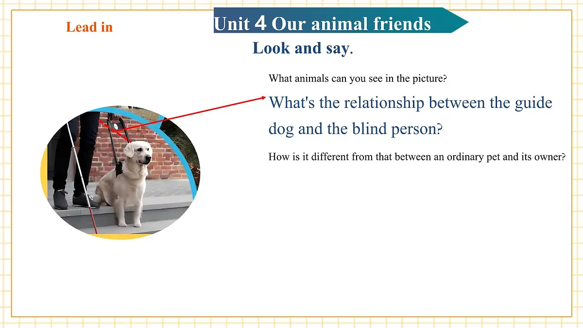 Unit4 Our animal friends 第1课时Reading教学课件第5页