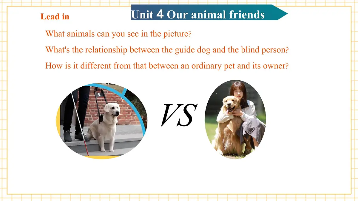 Unit4 Our animal friends 第1课时Reading教学课件第6页