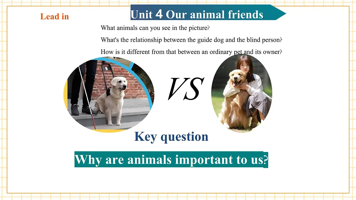 Unit4 Our animal friends 第1课时Reading教学课件第7页