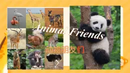 初中  英語(yǔ)  人教版（2024）  七年級(jí)下冊(cè)Unit 1   Animal Friends Section B 課件