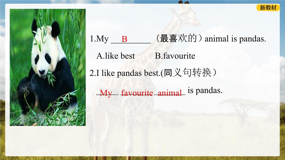 初中 英语 人教版(2024) 七年级下册Unit 1 Animal Friends 2a-2b(Writing) Section B 课件第3页