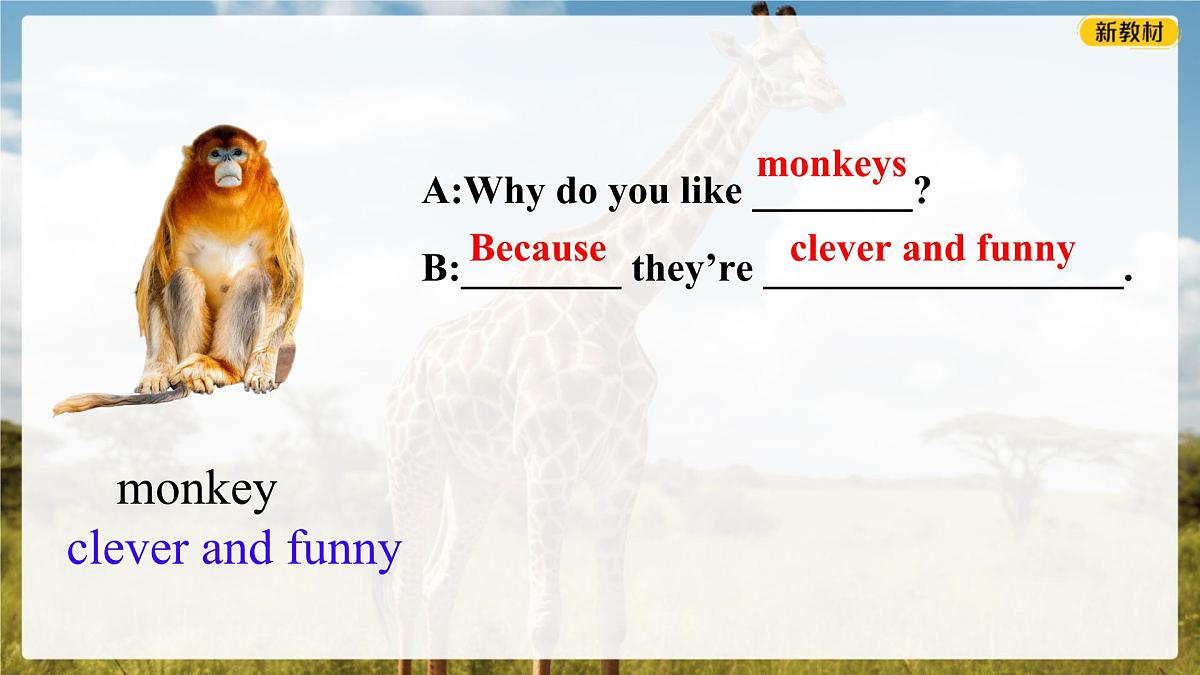 初中 英语 人教版(2024) 七年级下册Unit 1 Animal Friends 2a-2b(Writing) Section B 课件第5页