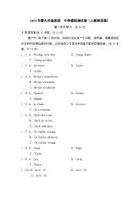 2025年春九年级英语 中考模拟测试卷（人教陕西版）