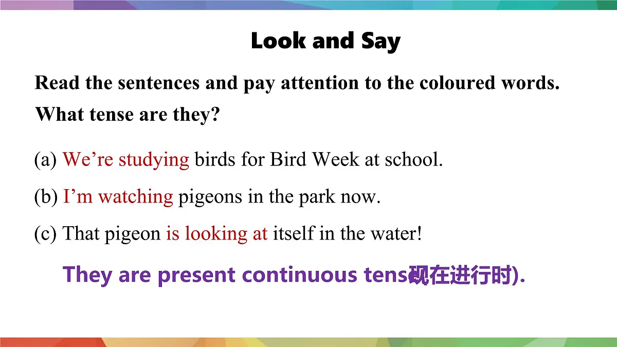 2025年外研版七年级英语上册Unit 5 Fantastic friends Lesson 2 Grammar(课件)第3页