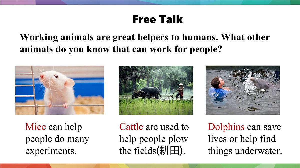 2025年外研版七年级英语上册Unit 5 Fantastic friends Lesson 3(课件)第4页