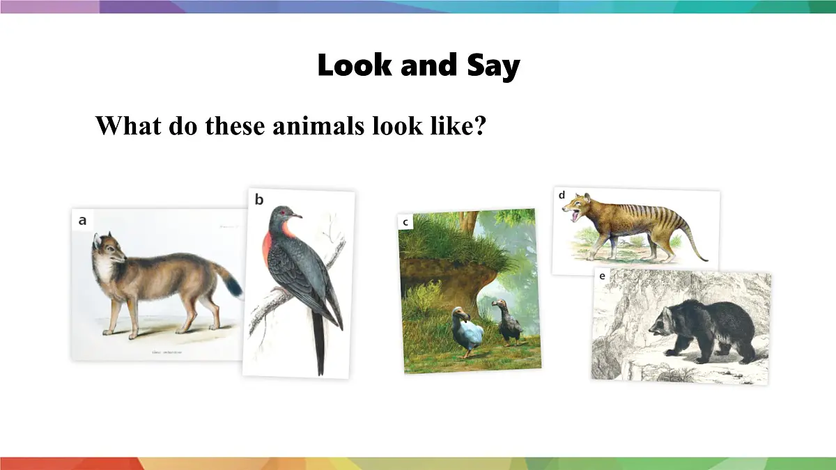2025年外研版七年级英语上册Unit 5 Fantastic friends Lesson 4 Reading for writing(课件)第3页