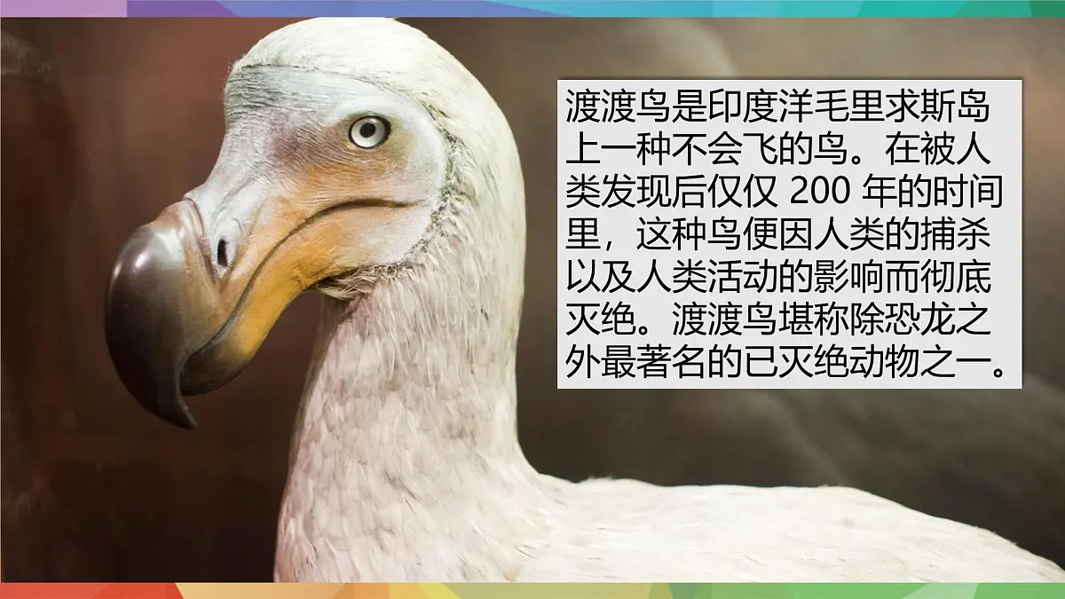 2025年外研版七年级英语上册Unit 5 Fantastic friends Lesson 4 Reading for writing(课件)第8页