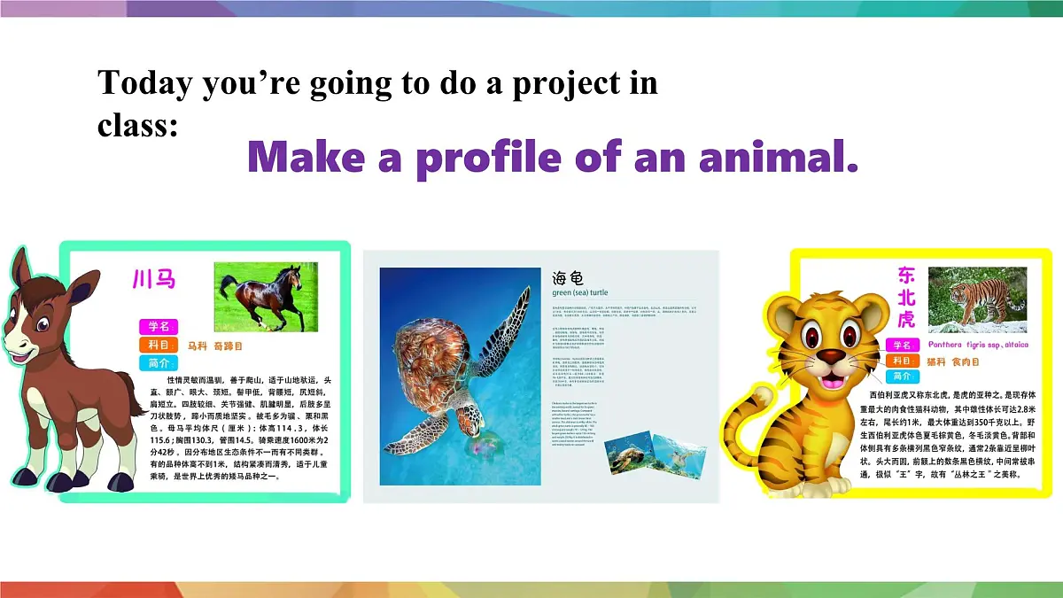 2025年外研版七年级英语上册Unit 5 Fantastic friends Lesson 5 Presenting ideas(课件)第4页