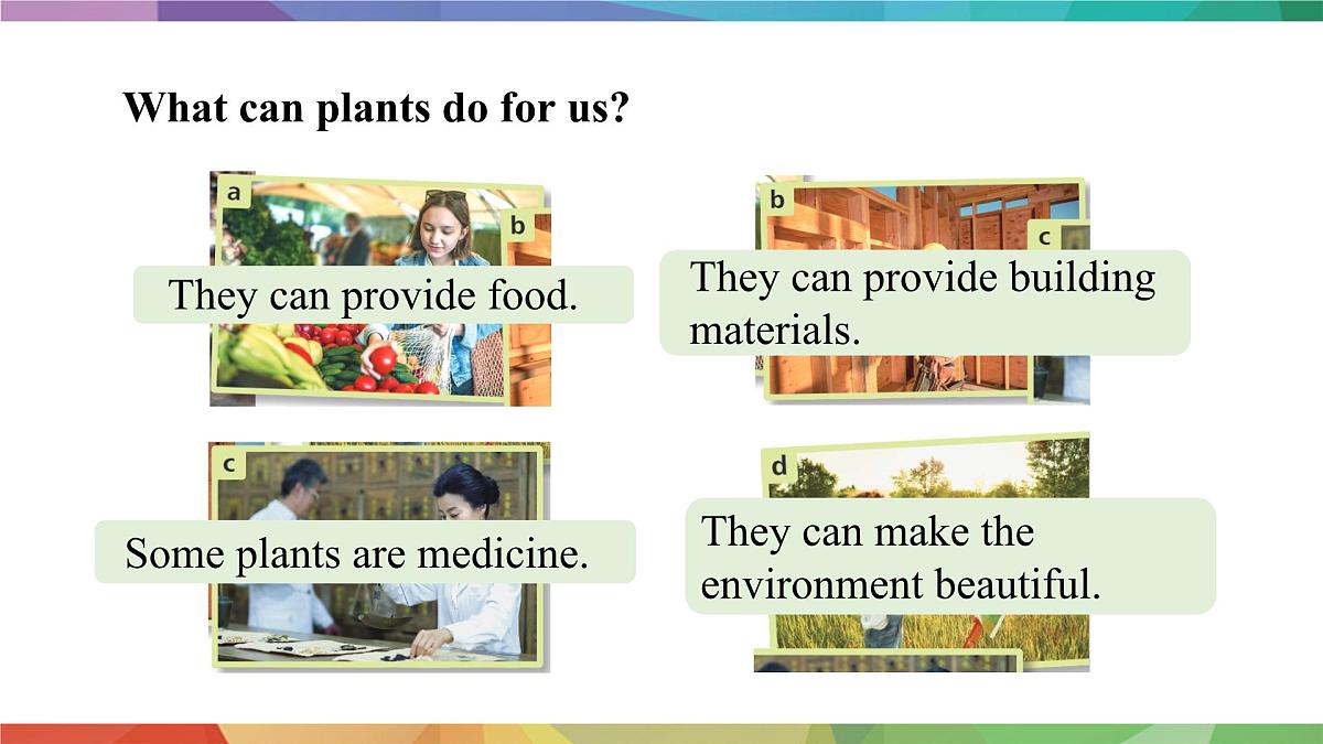 2025年外研版七年级英语上册Unit 6 The power of plants Lesson 1(课件)第4页